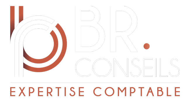BR conseils